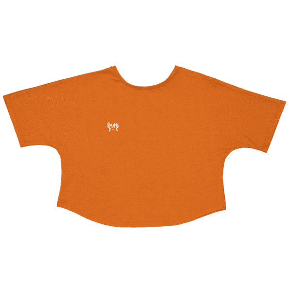 TSHIRT BRIQUE 1